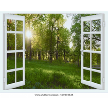 Load image into Gallery viewer, Murals - Large wall