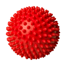 Load image into Gallery viewer, Sanarte Therapy Ball