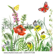 Load image into Gallery viewer, Murals - Large wall