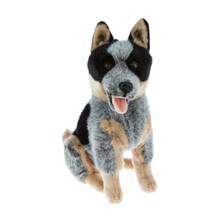 Load image into Gallery viewer, Rocky