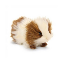 Load image into Gallery viewer, Guinea Pig