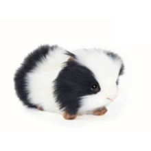 Load image into Gallery viewer, Guinea Pig
