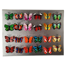 Load image into Gallery viewer, Butterfly Matching Activity
