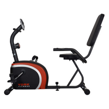Load image into Gallery viewer, York Performance Recumbent Bike