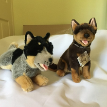 Load image into Gallery viewer, Rusty – Australian Cattle