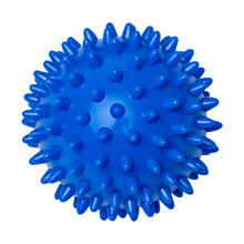 Load image into Gallery viewer, Sanarte Therapy Ball