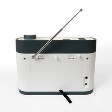 Load image into Gallery viewer, Relish Simple Music Player