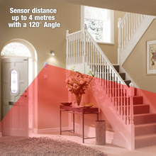 Load image into Gallery viewer, Talking PIR Motion Sensor Pro