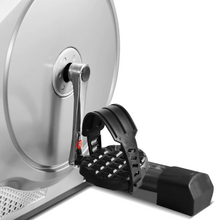 Load image into Gallery viewer, Lifespan RC-81 Recumbent Bike