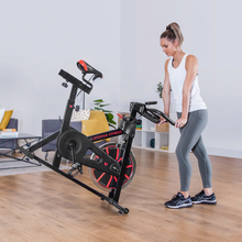 Load image into Gallery viewer, Lifespan SP-310 (M2) SPIN BIKE