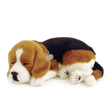 Load image into Gallery viewer, Perfect Petzzz - Realistic Robotic Sleeping Puppies & Kittens