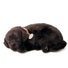 Load image into Gallery viewer, Perfect Petzzz - Realistic Robotic Sleeping Puppies & Kittens