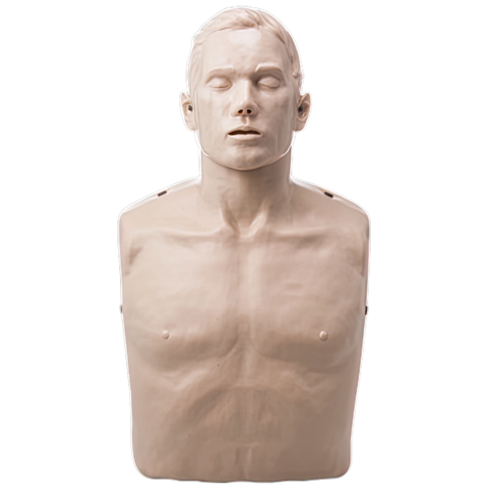Adult CPR Manikin (Standard, Pulse & Bluetooth Models)