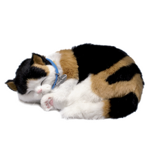 Load image into Gallery viewer, Perfect Petzzz - Realistic Robotic Sleeping Puppies & Kittens