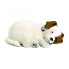 Load image into Gallery viewer, Perfect Petzzz - Realistic Robotic Sleeping Puppies & Kittens