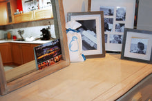 Load image into Gallery viewer, Pingi Bag 250g Moisture Absorber (reuseable)