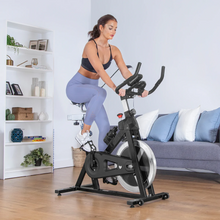 Load image into Gallery viewer, Lifespan SM-410 Magnetic Spin Bike