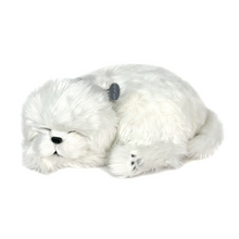 Load image into Gallery viewer, Perfect Petzzz - Realistic Robotic Sleeping Puppies & Kittens