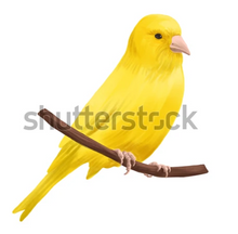 Load image into Gallery viewer, Small Wall Murals (600mm x 600mm)