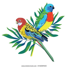 Load image into Gallery viewer, Small Wall Murals (600mm x 600mm)