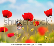 Load image into Gallery viewer, Small Wall Murals (600mm x 600mm)