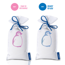 Load image into Gallery viewer, Pingi Bag 250g Moisture Absorber (reuseable)