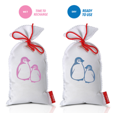 Load image into Gallery viewer, Pingi Extra Large 450g Moisture Absorber (reuseable)