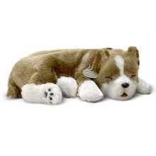 Load image into Gallery viewer, Perfect Petzzz - Realistic Robotic Sleeping Puppies & Kittens