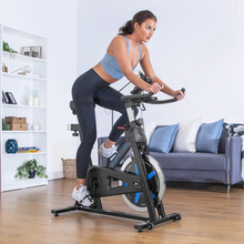 Load image into Gallery viewer, Lifespan Fitness SP-460 M2 Spin Bike