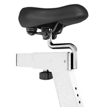 Load image into Gallery viewer, Lifespan Fitness SP-460 M2 Spin Bike