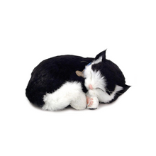 Load image into Gallery viewer, Perfect Petzzz - Realistic Robotic Sleeping Puppies & Kittens