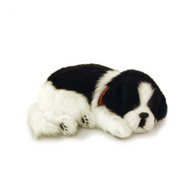 Load image into Gallery viewer, Perfect Petzzz - Realistic Robotic Sleeping Puppies & Kittens