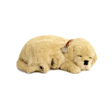 Load image into Gallery viewer, Perfect Petzzz - Realistic Robotic Sleeping Puppies & Kittens