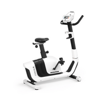 Load image into Gallery viewer, Horizon Comfort 3 Exercise Bike
