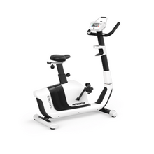 Load image into Gallery viewer, Horizon Comfort 3 Exercise Bike