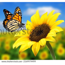 Load image into Gallery viewer, Small Wall Murals (600mm x 600mm)