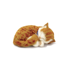 Load image into Gallery viewer, Perfect Petzzz - Realistic Robotic Sleeping Puppies & Kittens