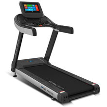 Load image into Gallery viewer, Lifespan Marathon Commercial Treadmill (4.0CHP Motor)