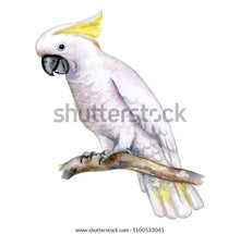 Load image into Gallery viewer, Small Wall Murals (600mm x 600mm)