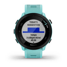 Load image into Gallery viewer, Garmin Forerunner 55 GPS Running Watch