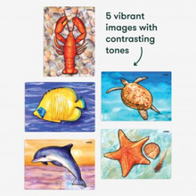 Load image into Gallery viewer, Aquapaint Reusable Painting