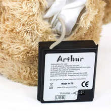 Load image into Gallery viewer, Arthur Bear Musical Teddy Bear For Cognizance & Engagement
