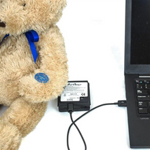 Load image into Gallery viewer, Arthur Bear Musical Teddy Bear For Cognizance & Engagement