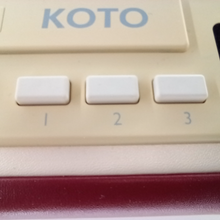 Load image into Gallery viewer, Koto Easy Radio
