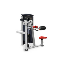 Load image into Gallery viewer, Impulse Fitness IT9524 Commercial Lateral Raise Machine
