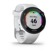 Load image into Gallery viewer, Garmin Forerunner 45S Small GPS Running Watch
