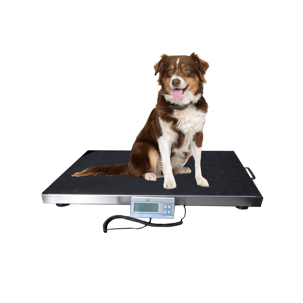 CHR392 Veterinary Platform Scale (250kg/100g)