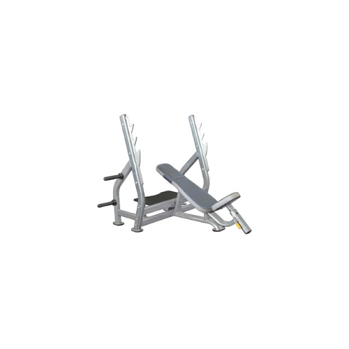 Healthstream Ultimate Commercial Olympic Incline Bench