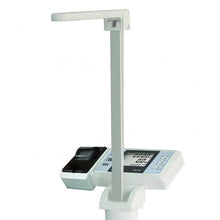 Load image into Gallery viewer, WM205 Professional Weight Scale with Inbuilt Height Rod (250kg/100g)
