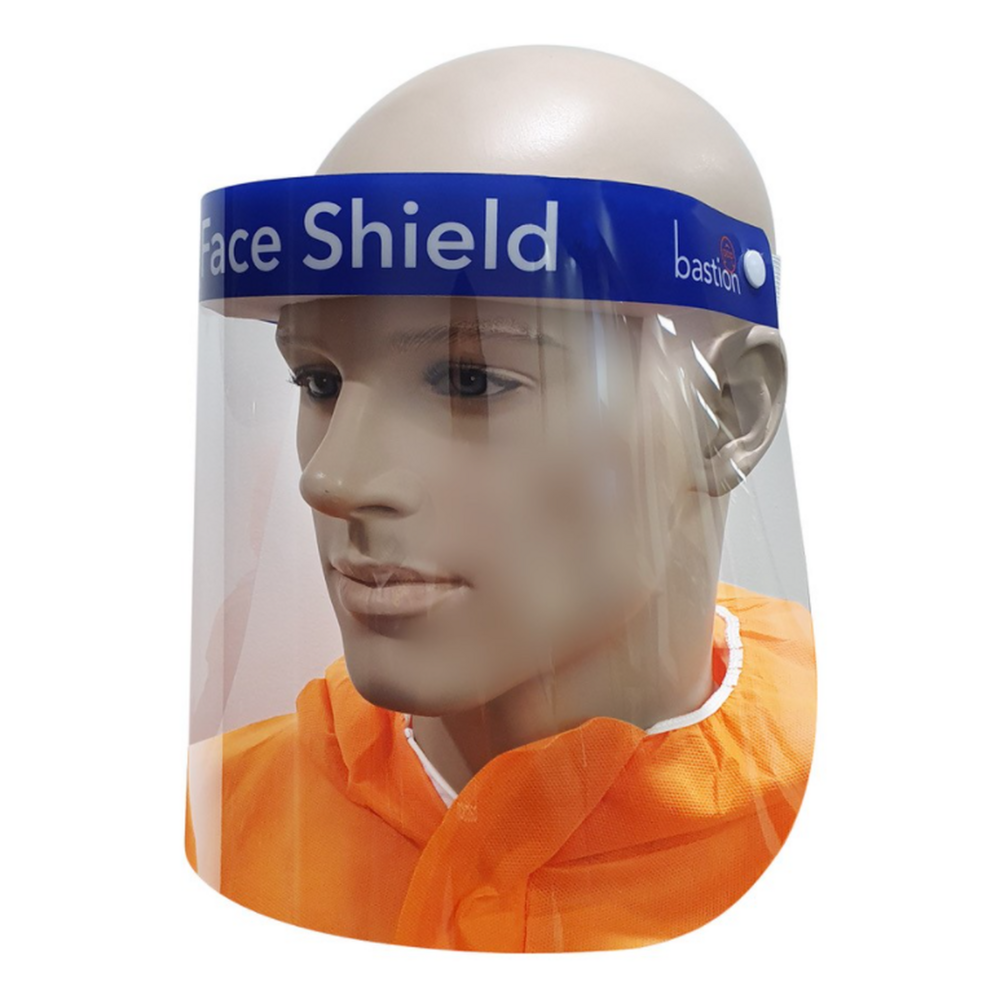 Disposable Plastic Face Shield x 10